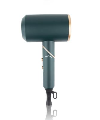 Negative Ion Electric Hair Dryer - product view 2